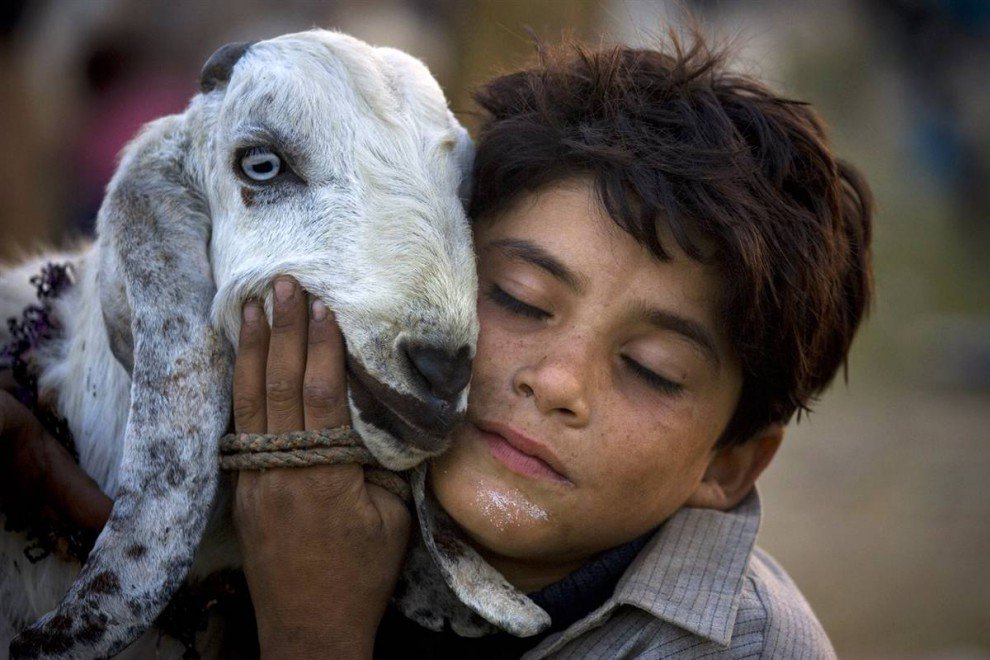 В России 5-летнего мальчика воспитывает коза