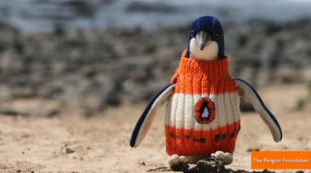 Пингвинам вяжет свитера 109-летний австралиец