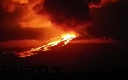 На Галапагосах проснулся опасный вулкан. ВИДЕО