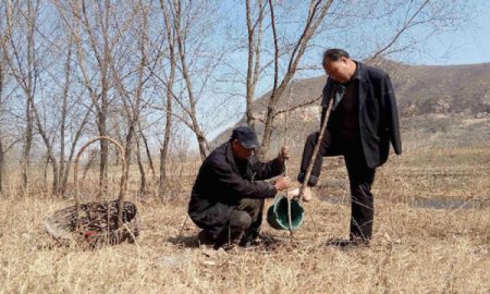 В Китае слепой и безрукий посадили более 10 000 деревьев. ФОТО