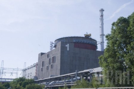 Один из энергоблоков Запорожской АЭС отключен от сети