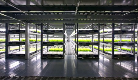 В Японии откроется первая в мире роботизированная овощная ферма 
