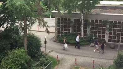СМИ: В торговом центре Мюнхена слышна стрельба, есть убитые. ФОТО. ВИДЕО