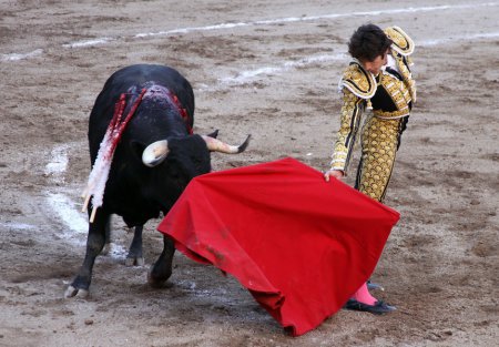 В Испании впервые за 30 лет бык убил матадора