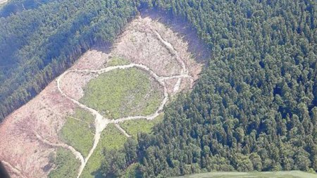Луценко показал ужасные последствия "экоцида" Карпат и приказал остановить контрабанду леса. ФОТО