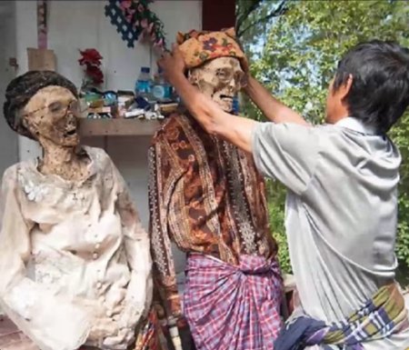 "Очистка трупов" - ритуал индонезийского племени. ФОТО