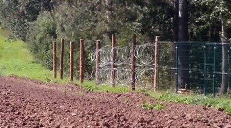 СМИ: Россия возводит забор с колючей проволокой на границе с Польшей