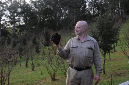 Австралиец продемонстрировал свою находку - 1,5-килограммовый трюфель стоимостью $2291