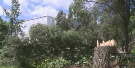 Американец срубил дерево на участке соседа, разрушив тем самым свой дом. ВИДЕО
