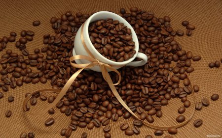 Эксперты: кофе скоро может стать очень недешевым удовольствием