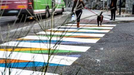 Болгарський художник перетворює пішохідні переходи в Мадриді на справжні витвори урбаністичного мистецтва.  ФОТО
