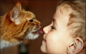 Почему не стоит целовать домашних животных?