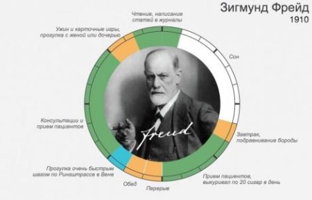 Инфографика: распорядок дня знаменитостей