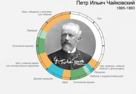 Инфографика: распорядок дня знаменитостей