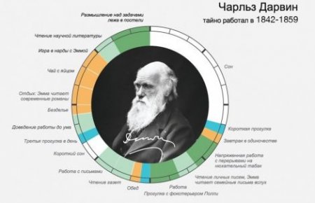 Инфографика: распорядок дня знаменитостей