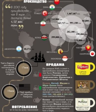 Интересные факты о чае
