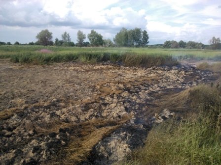 В Полтавской области горят торфяники