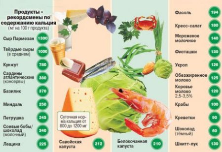 Продукты, которые содержат больше кальция