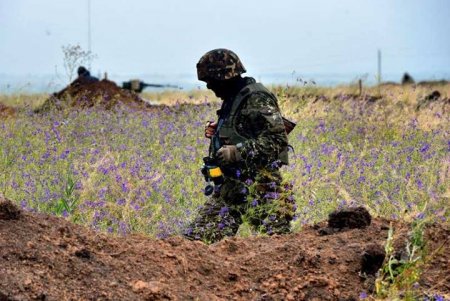 Зона АТО: Фотографии с передовой. Луганская область