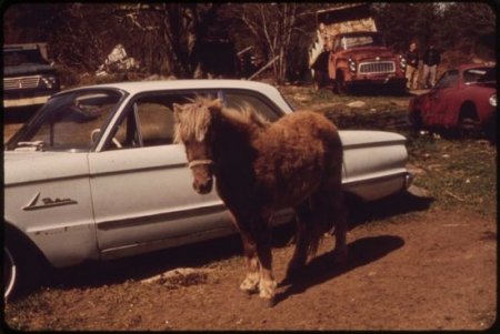 Америка 40 лет назад. Фотогалерея