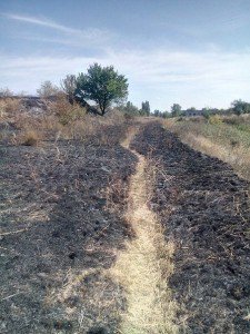 В Луганской области террористы бомбили очередной населеный пункт - Зоринск (фото)