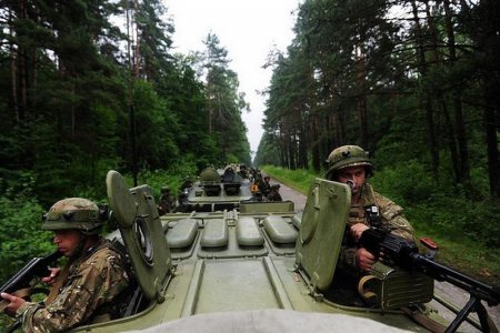 Во Львовской области проходять международные военные учения (фото)