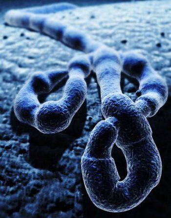 Ученым удалось определить возраст вируса Эбола