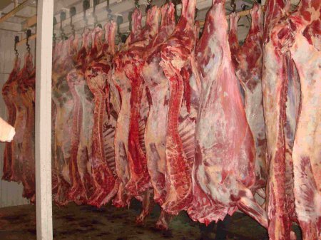 В аннексированный Крым не пропустили 20 тонн украинской говядины