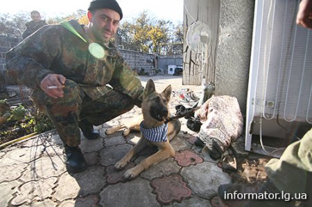 Солдаты 95 бригады - наши Герои (фото)