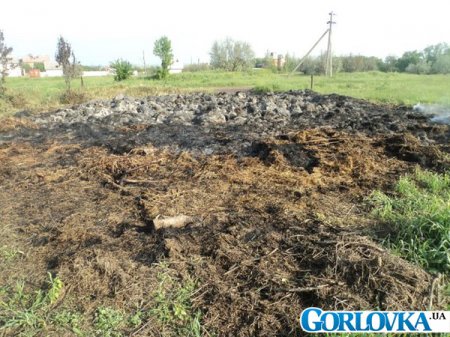 Снаряды и разрушения в городе Горловка (фото)