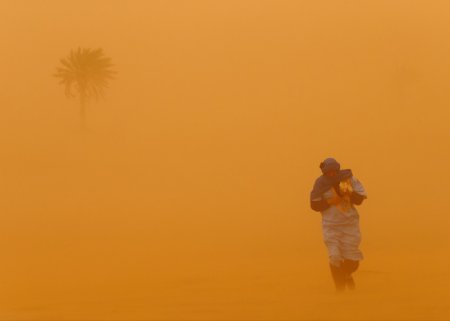 Самые лучшие снимки National Geographic за 2014 год