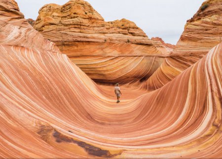 Самые лучшие снимки National Geographic за 2014 год