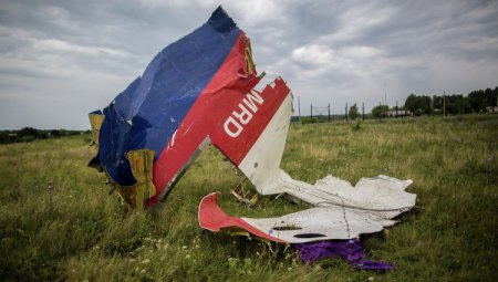 Первые минуты после падения на Донбассе малазийского лайнера. ВИДЕО