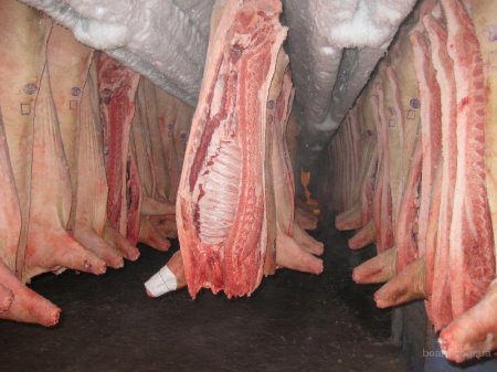 Россельхознадзор забраковал более 30 тонн украинского мяса