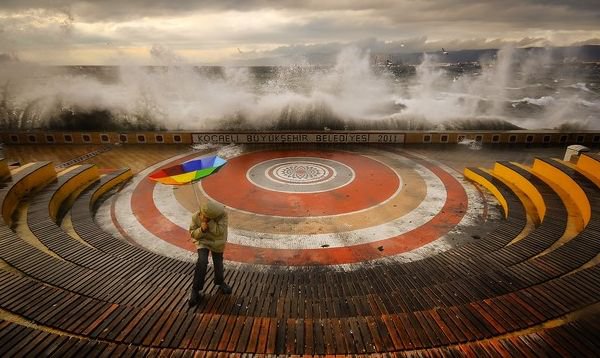 Объявлены победители фотоконкурса National Geographic. (фото)