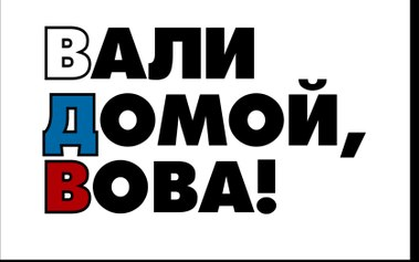 За плакат "Вали домой, Вова" российскому художнику светит 5 лет тюрьмы