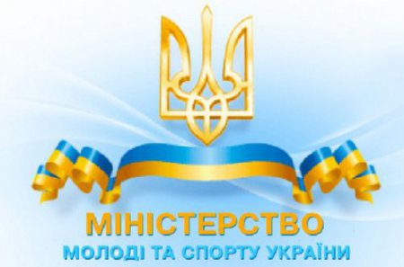 Министерство молодежи и спорта необходимо сохранить - Палатный