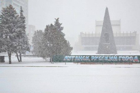 Война войной, а елка по расписанию - в Луганске установили новогоднюю елку (фото)