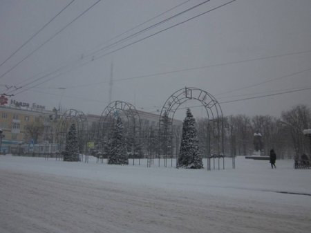 Война войной, а елка по расписанию - в Луганске установили новогоднюю елку (фото)