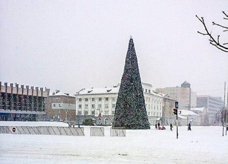 Война войной, а елка по расписанию - в Луганске установили новогоднюю елку (фото)