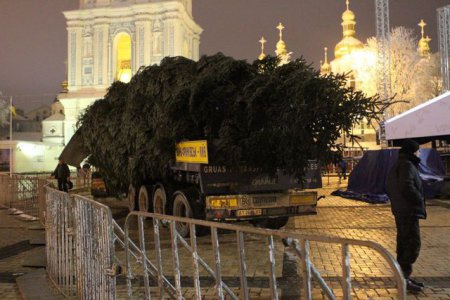 Сегодня в Киеве начнется монтаж новогодней елки