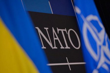 США объявил Украине «тайм-аут» по НАТО