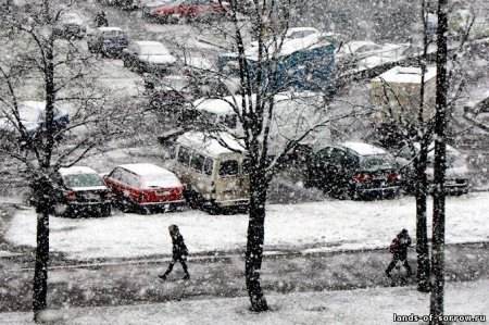 На Закарпатье штормовое предупреждение (ТВ, видео)