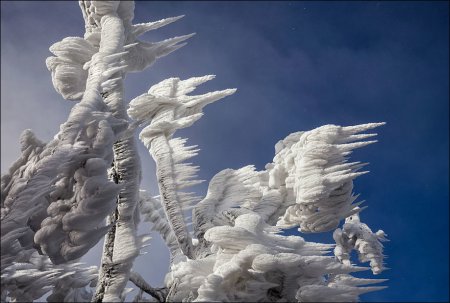 Царство Снежной Королевы в Словении. ФОТО