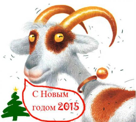 На Землю пришел Новый 2015 год