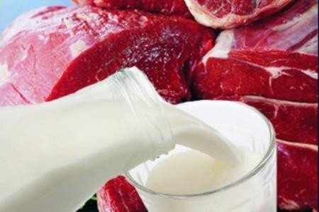 Мясо и молоко из Украины могут попасть на рынок  ЕС уже в 2015 году