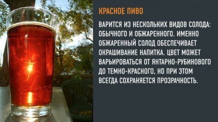 Какое бывает пиво