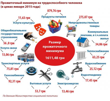 Прожиточный минимум. Каким он должен быть. Инфографика