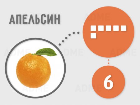 Содержание сахара в наших самых любимых продуктах. Инфографика