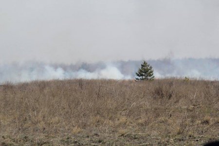 Подготовка украинских десантников. Фоторепортаж